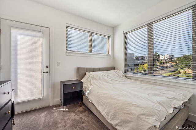 bedroom with carpet floors and multiple windows