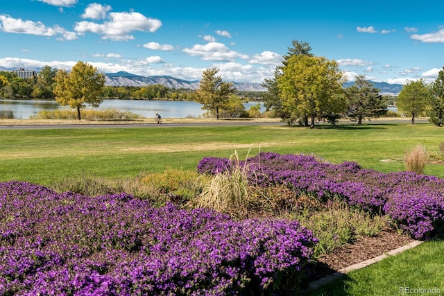 view of yard featuring a water and mountain view