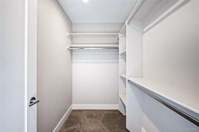 walk in closet featuring dark carpet