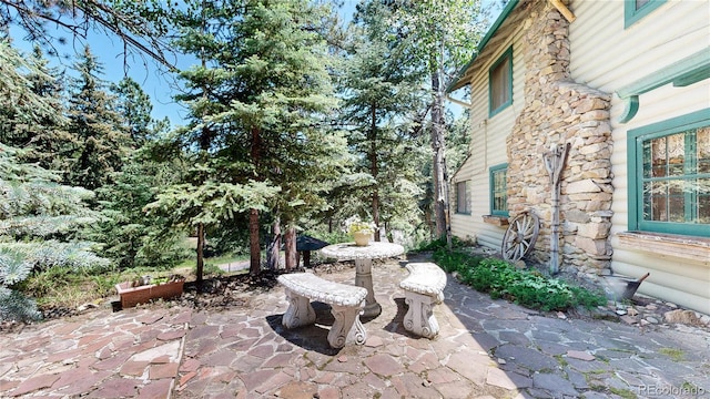 30094 Upper Bear Creek Rd, Evergreen, CO 80439 - photo 40