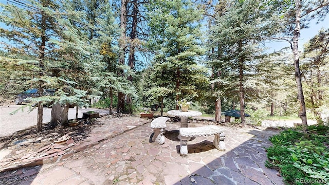 30094 Upper Bear Creek Rd, Evergreen, CO 80439 - photo 37
