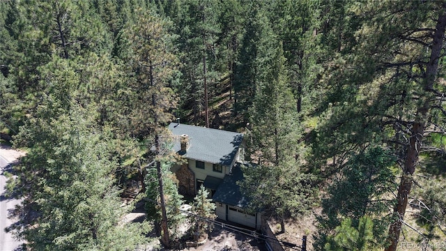 30094 Upper Bear Creek Rd, Evergreen, CO 80439 - photo 44