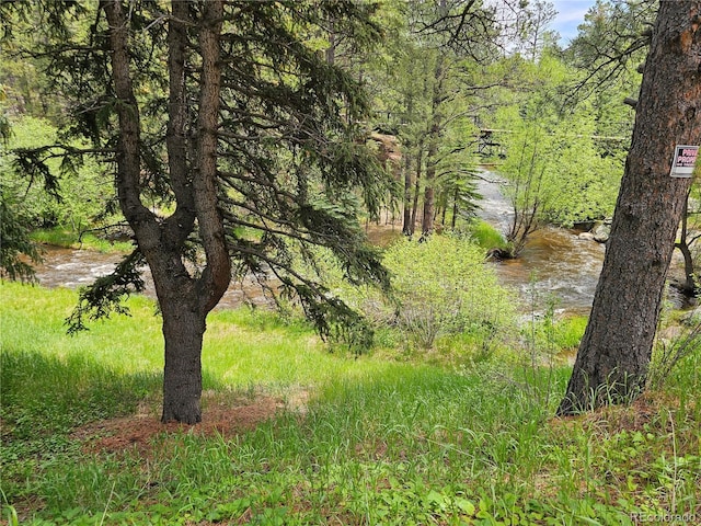 30094 Upper Bear Creek Rd, Evergreen, CO 80439 - photo 15