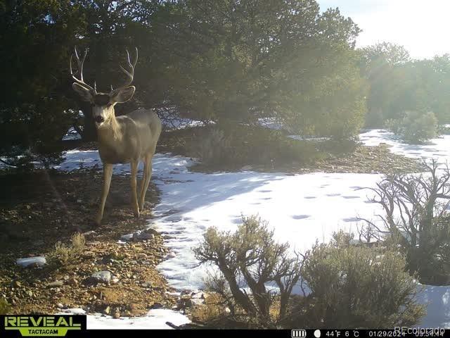 LOT3886 Galloway Rd, Fort Garland, CO 81133