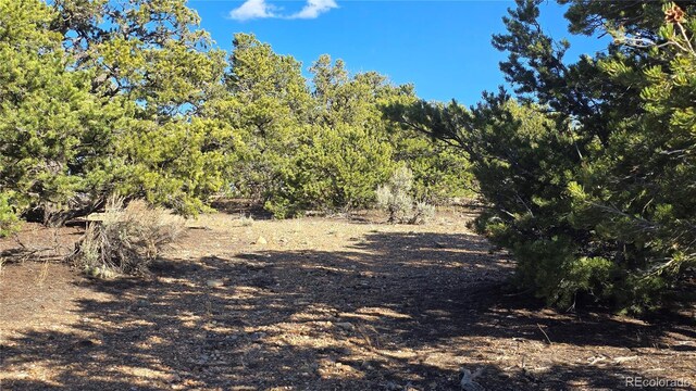 LOT3886 Galloway Rd, Fort Garland, CO 81133