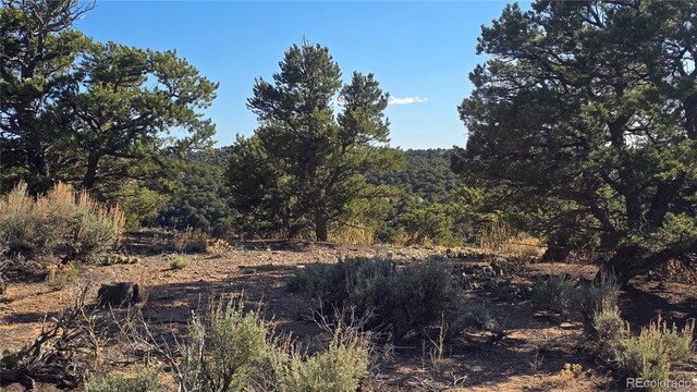 LOT3886 Galloway Rd, Fort Garland, CO 81133