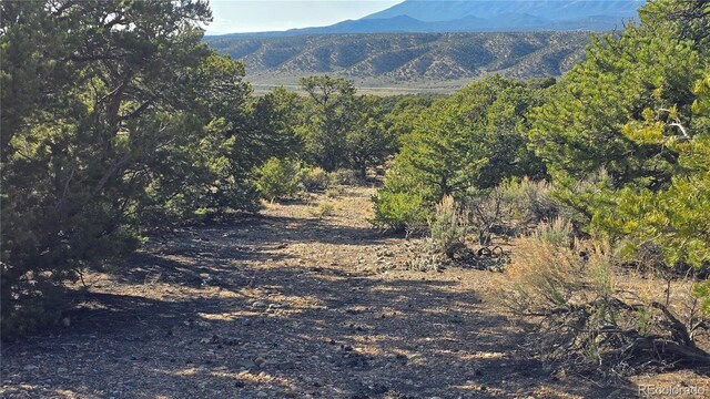 LOT3886 Galloway Rd, Fort Garland, CO 81133
