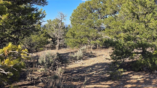 LOT3886 Galloway Rd, Fort Garland, CO 81133