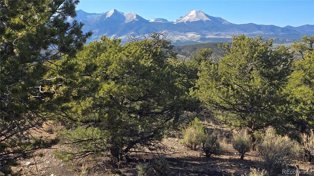 LOT3886 Galloway Rd, Fort Garland, CO 81133