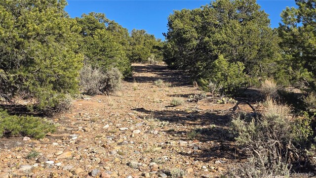 LOT3886 Galloway Rd, Fort Garland, CO 81133