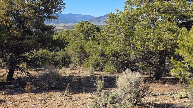 LOT3886 Galloway Rd, Fort Garland, CO 81133