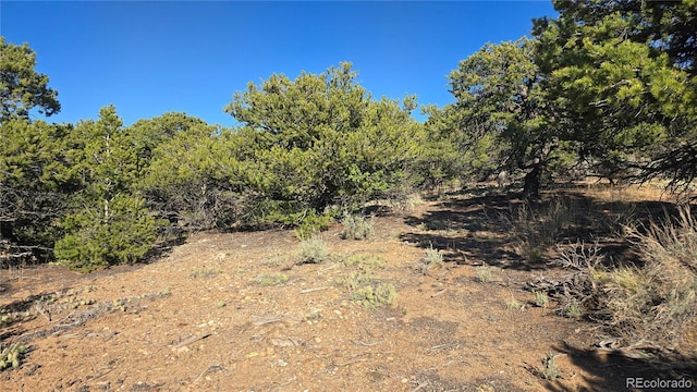 LOT3886 Galloway Rd, Fort Garland, CO 81133