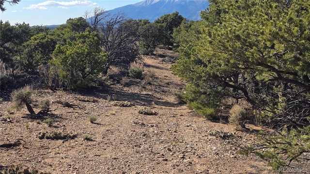 LOT3886 Galloway Rd, Fort Garland, CO 81133