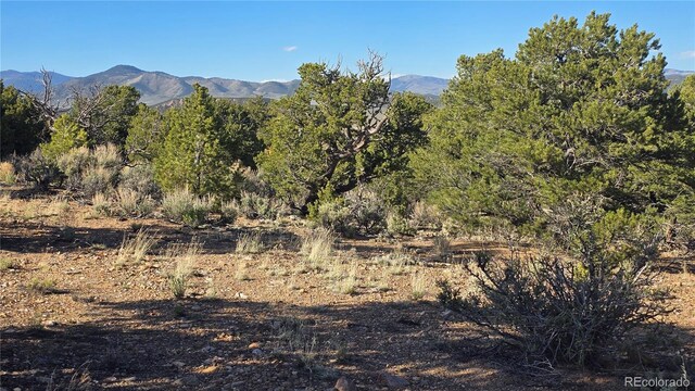 LOT3886 Galloway Rd, Fort Garland, CO 81133