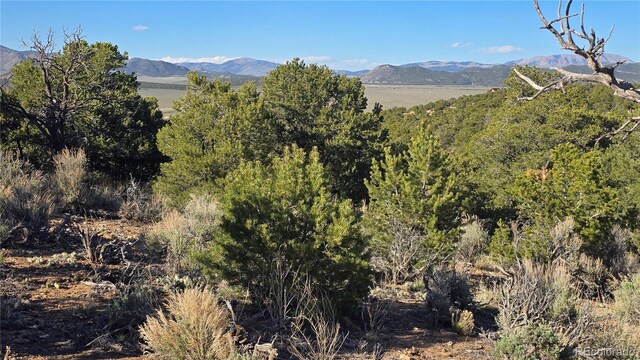 LOT3886 Galloway Rd, Fort Garland, CO 81133