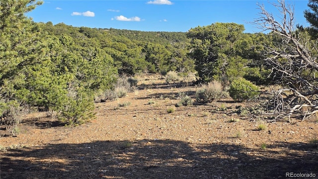 LOT3886 Galloway Rd, Fort Garland, CO 81133