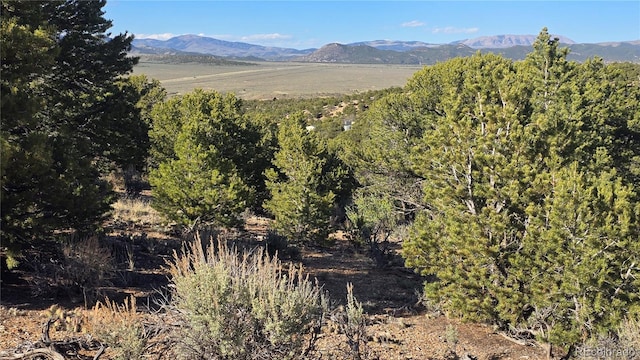 LOT3886 Galloway Rd, Fort Garland, CO 81133