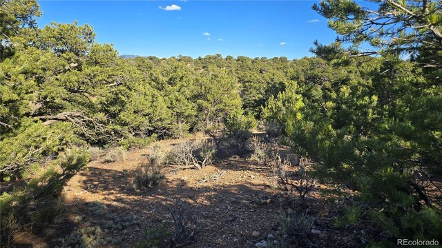 LOT3886 Galloway Rd, Fort Garland, CO 81133