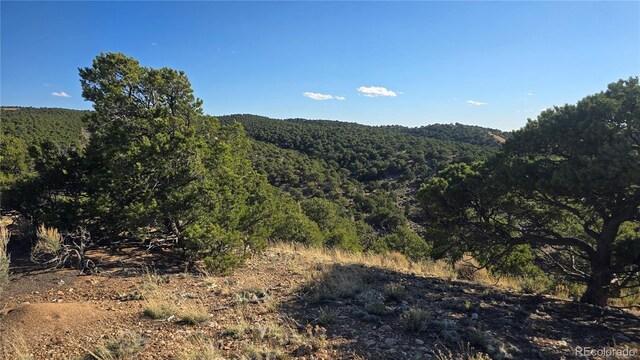 LOT3886 Galloway Rd, Fort Garland, CO 81133