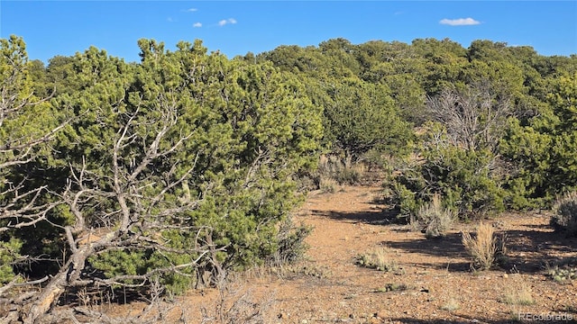 LOT3886 Galloway Rd, Fort Garland, CO 81133