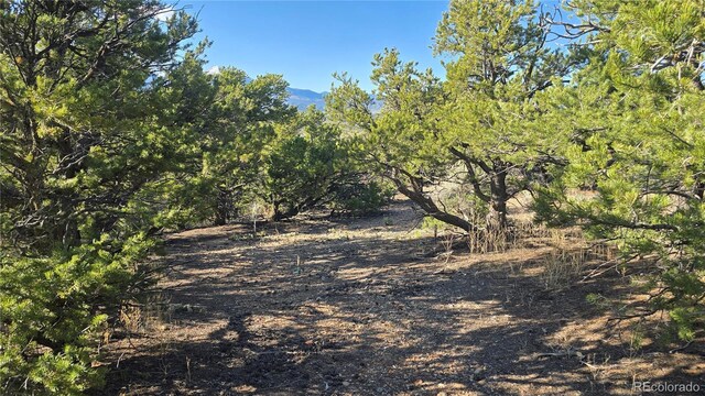 LOT3886 Galloway Rd, Fort Garland, CO 81133
