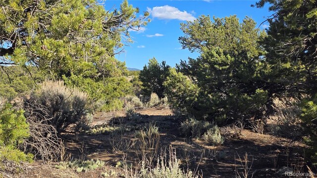 LOT3886 Galloway Rd, Fort Garland, CO 81133