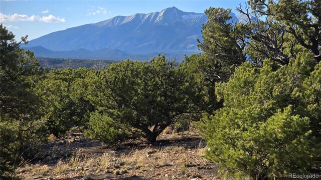 LOT3886 Galloway Rd, Fort Garland, CO 81133