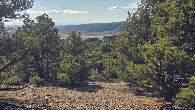 LOT3886 Galloway Rd, Fort Garland, CO 81133