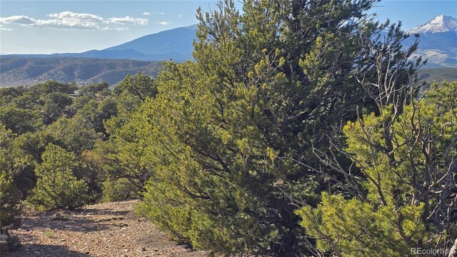 LOT3886 Galloway Rd, Fort Garland, CO 81133