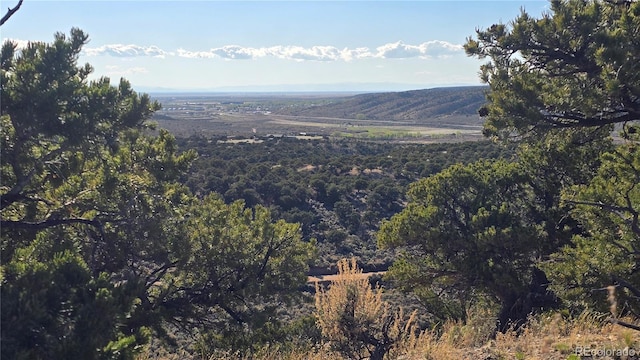 LOT3886 Galloway Rd, Fort Garland, CO 81133