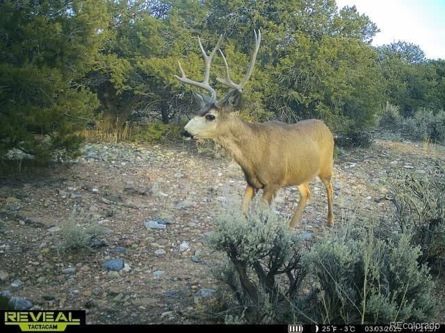 LOT3886 Galloway Rd, Fort Garland, CO 81133