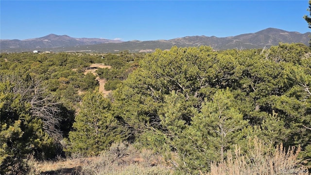 LOT3886 Galloway Rd, Fort Garland, CO 81133