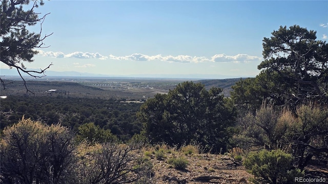 LOT3886 Galloway Rd, Fort Garland, CO 81133