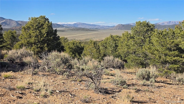 LOT3886 Galloway Rd, Fort Garland, CO 81133