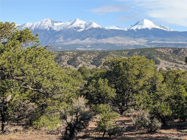 LOT3886 Galloway Rd, Fort Garland, CO 81133