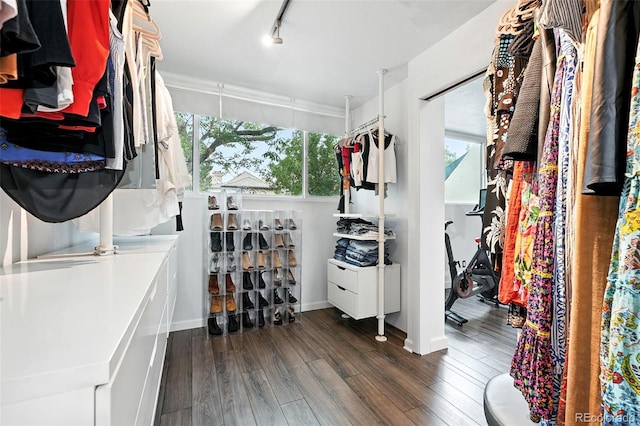 960 N Pennsylvania St Unit 6, Denver, CO 80203 - walk in closet featuring dark wood-style flooring