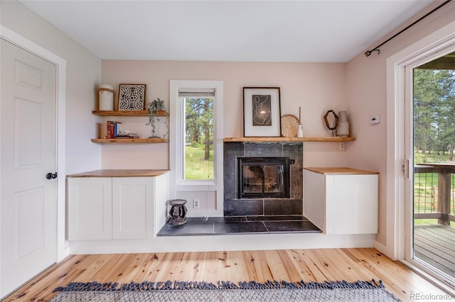 interior space with a fireplace, baseboards, and wood finished floors