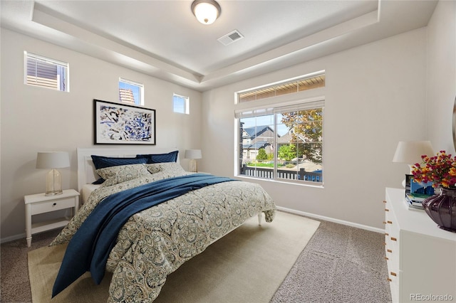 bedroom featuring a raised ceiling and carpet