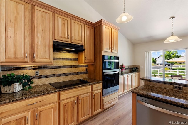 4143 Eagle Ridge Way, Castle Rock, CO 80104 - kitchen with stainless steel dishwasher, double oven, vaulted ceiling, backsplash, and black electric cooktop