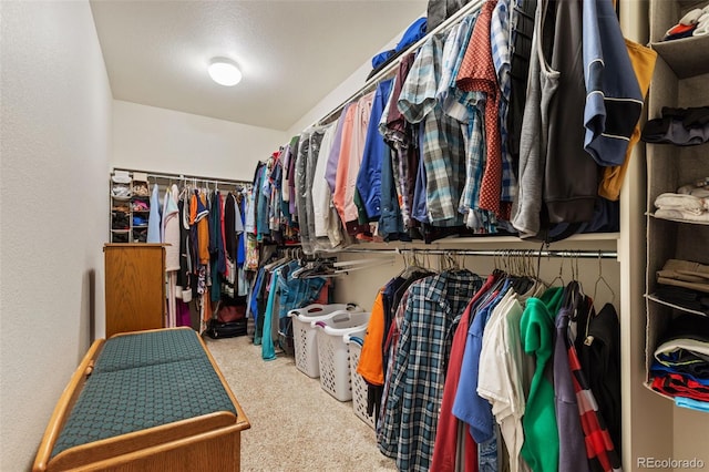 4143 Eagle Ridge Way, Castle Rock, CO 80104 - walk in closet with carpet flooring