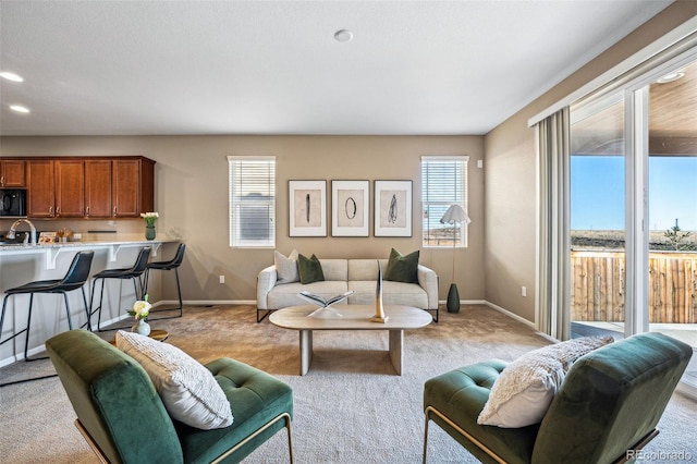 carpeted living room with sink