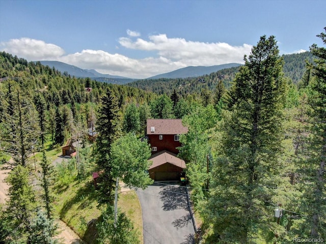10438 Sunlight Ln, Conifer, CO 80433 - view of mountain background with a forest