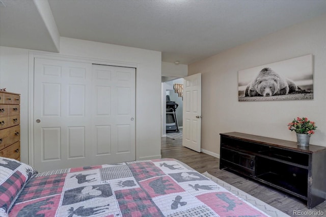 10438 Sunlight Ln, Conifer, CO 80433 - bedroom featuring wood finished floors and a closet