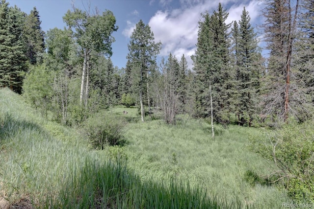 10438 Sunlight Ln, Conifer, CO 80433 - view of tree filled area