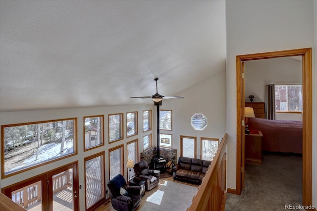 10438 Sunlight Ln, Conifer, CO 80433 - photo 19