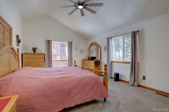 10438 Sunlight Ln, Conifer, CO 80433 - photo 21
