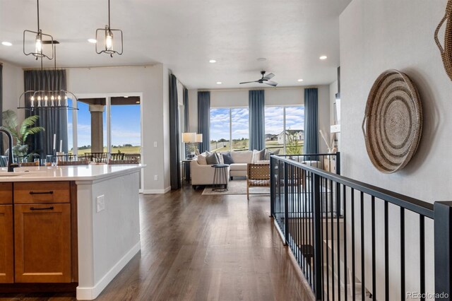 9996 Antelope Ravine Dr, Colorado Springs, CO 80908 - photo 4