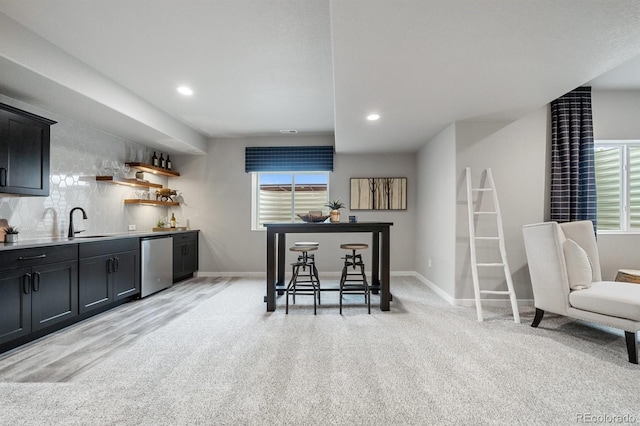 9996 Antelope Ravine Dr, Colorado Springs, CO 80908 - photo 26