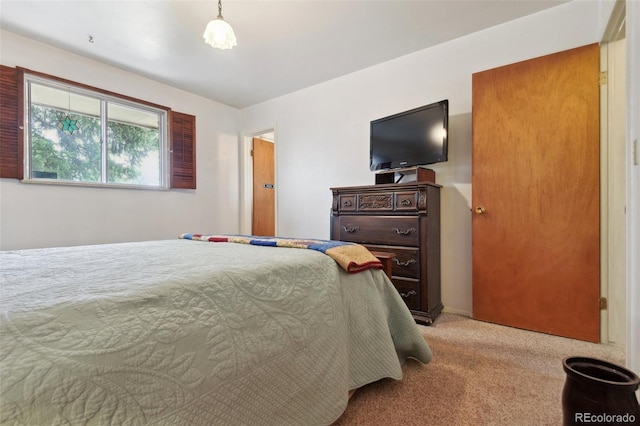 bedroom with carpet