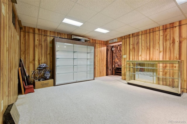 garage with wood walls